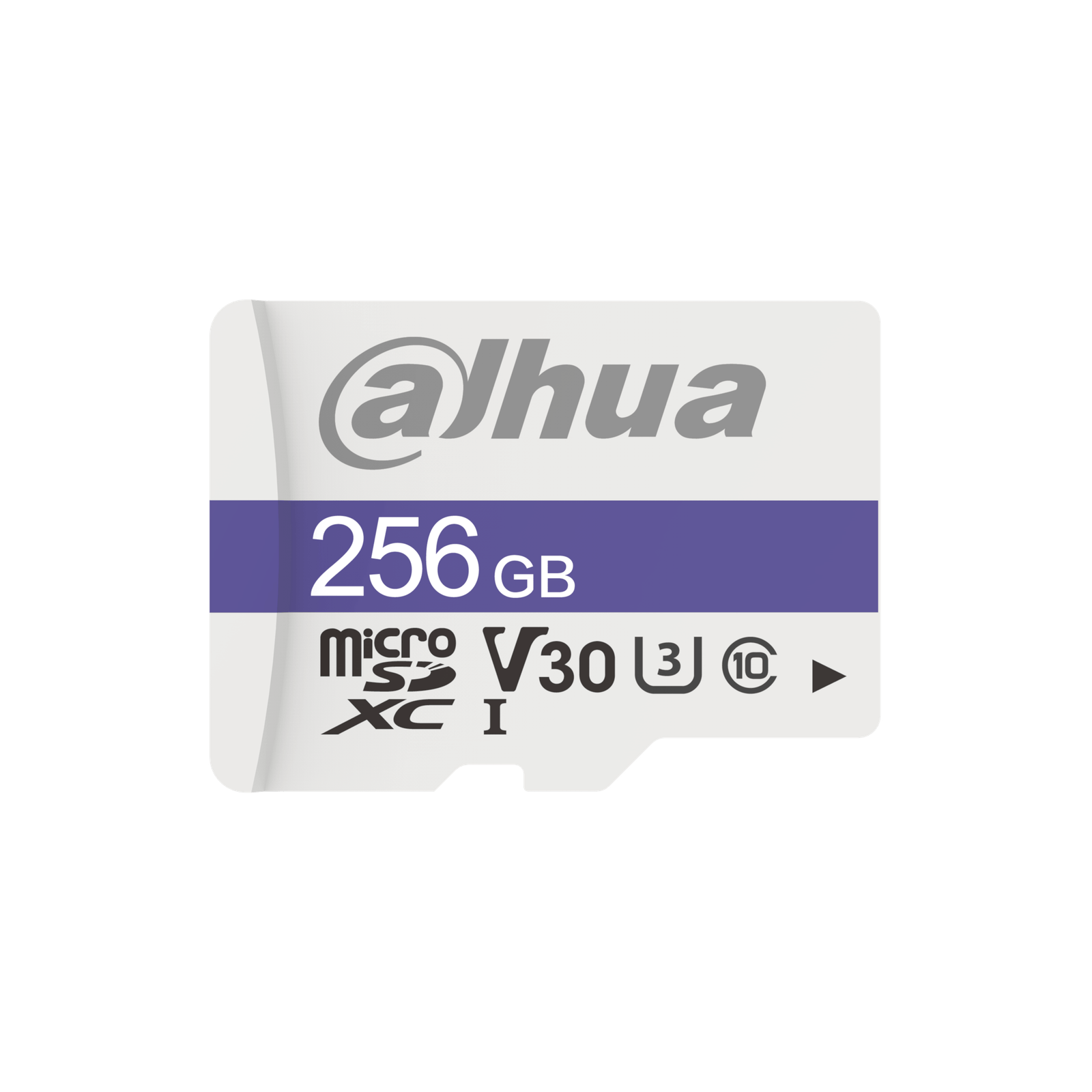 Dahua DHI-TF-C100 256GB MicroSD CARD view 2