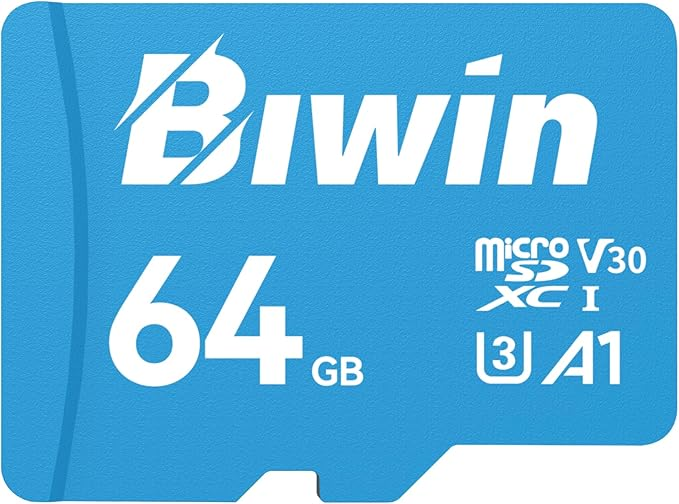 Biwin MS100 / BMMS100064G-RGX 64GB microSD UHS-I Memory Card