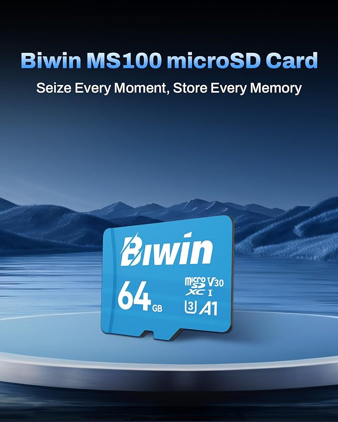 Biwin MS100 / BMMS100064G-RGX 64GB microSD UHS-I Memory Card view 2