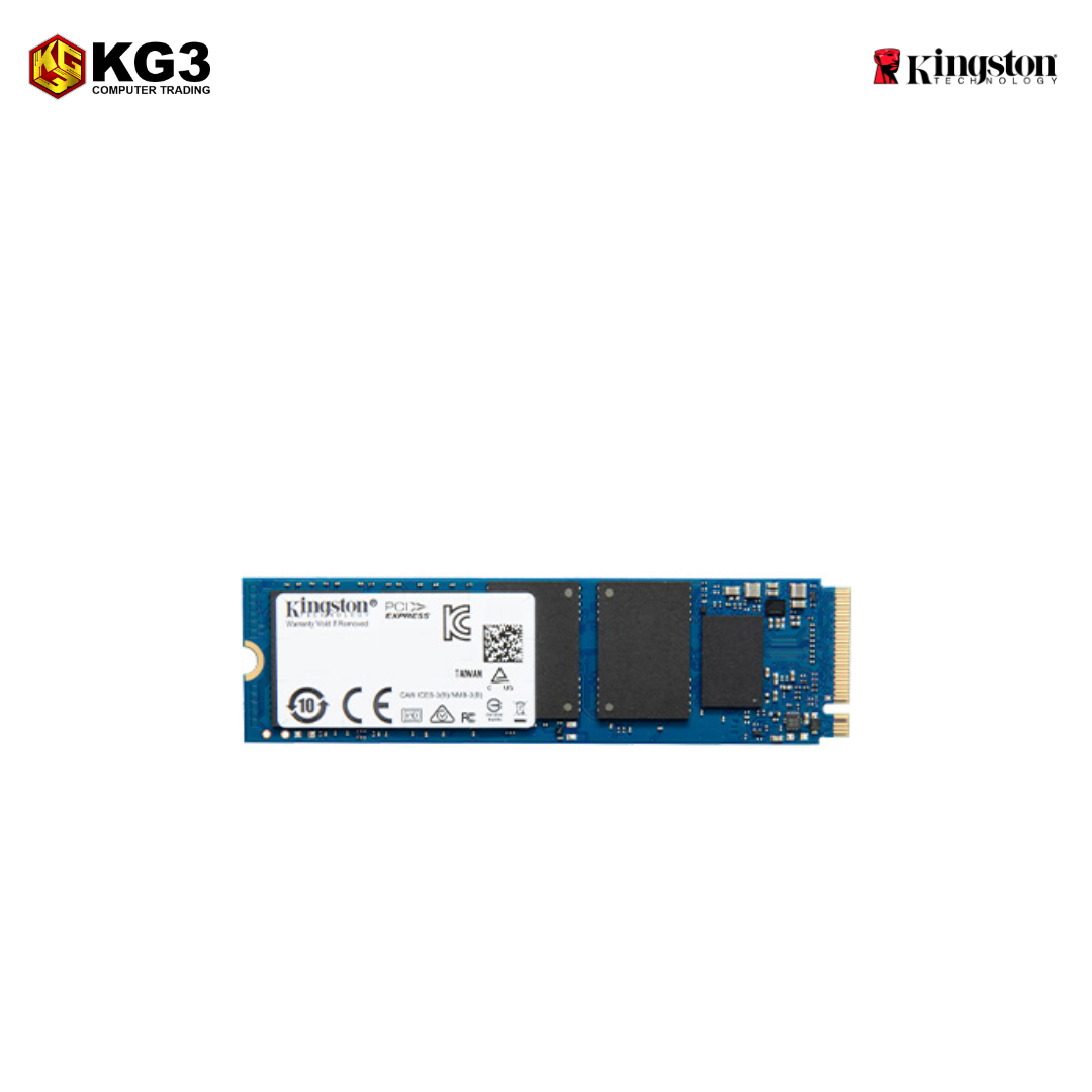 Kingston 256GB NVMe M.2